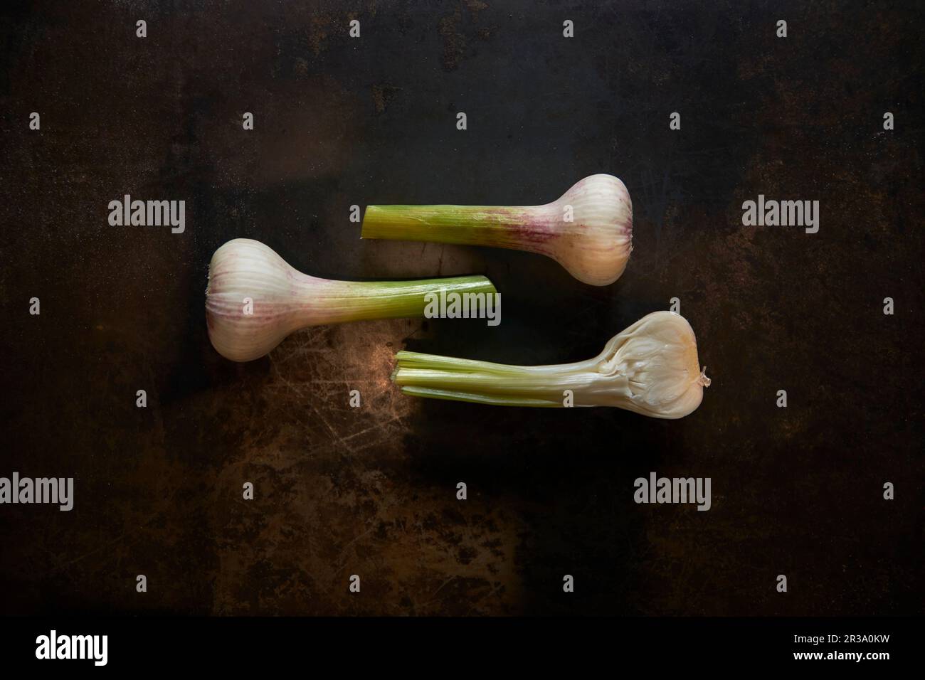 Three fresh garlic bulbs on a metal background Stock Photo