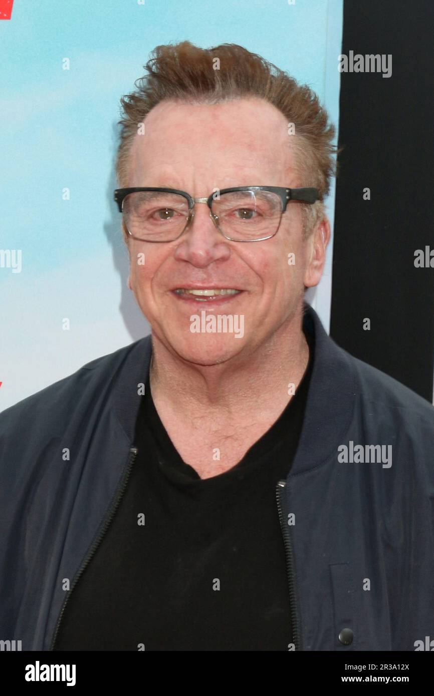 LOS ANGELES - MAY 22: Tom Arnold at the FUBAR TV Series Premiere Screening  at The Grove on May 22, 2023 in Los Angeles, CA Stock Photo - Alamy