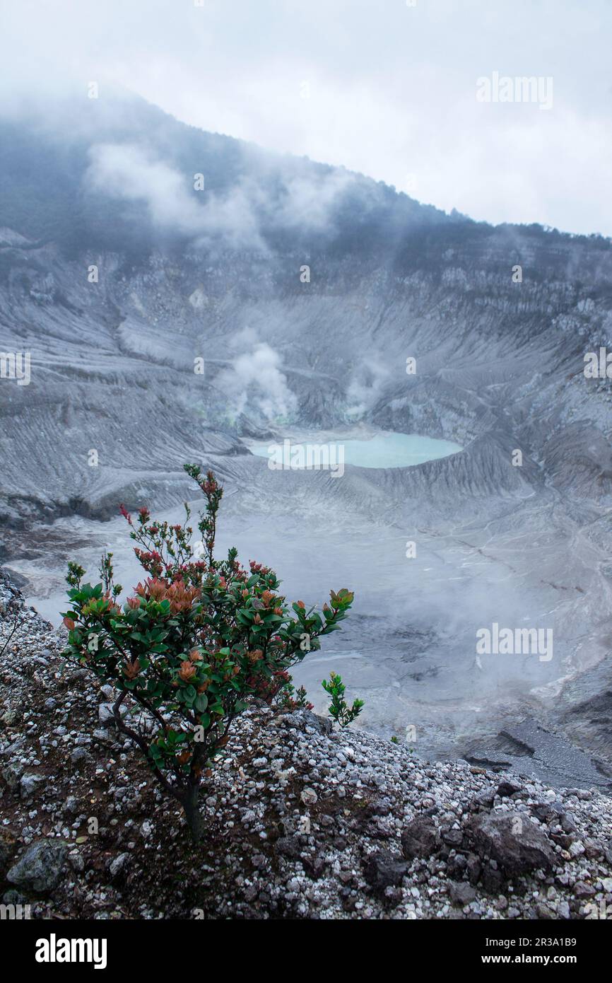 View of the beautiful crater over the top of Mount Tangkuban Perahu, Bandung, West Java, Indonesia Stock Photo