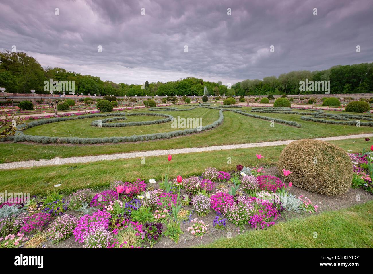 Jardín de Diana de Poitiers., castillo de Chenonceau, siglo XVI, Chenonceaux, departamento de Indre y Loira,France,Western Europe. Stock Photo