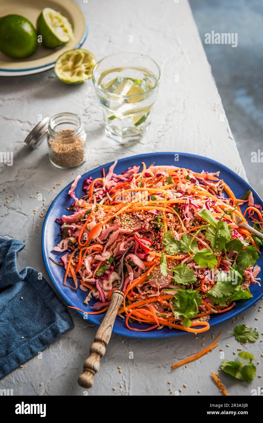 Red and white cabbage crunchy salad with lime, carrot, radish, spring onion, coriander and sesame seeds Stock Photo