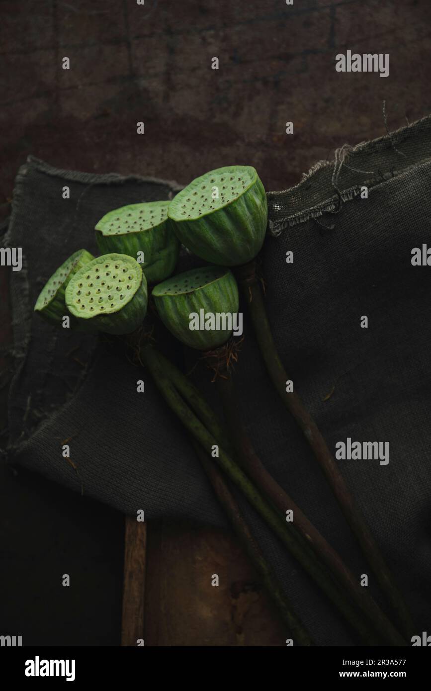 Lotus flower seed pods Stock Photo Alamy