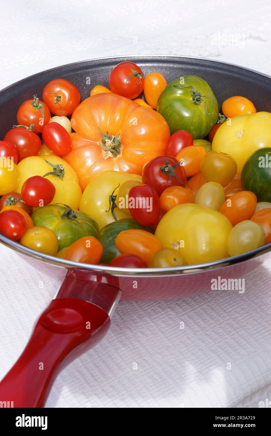 Various fresh tomatoes in a pan Stock Photo