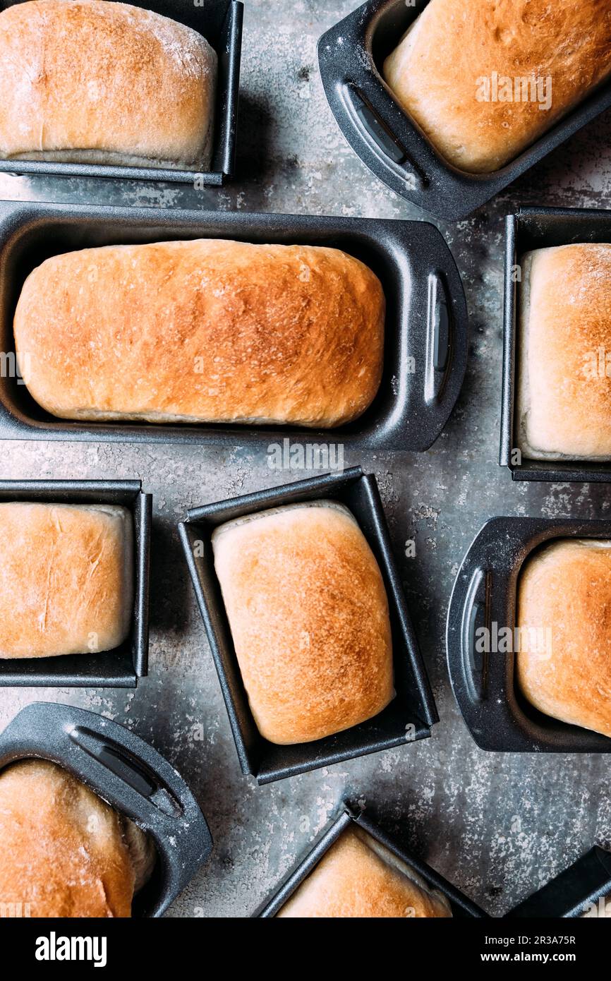 Mini white bread loaves in tins Stock Photo Alamy