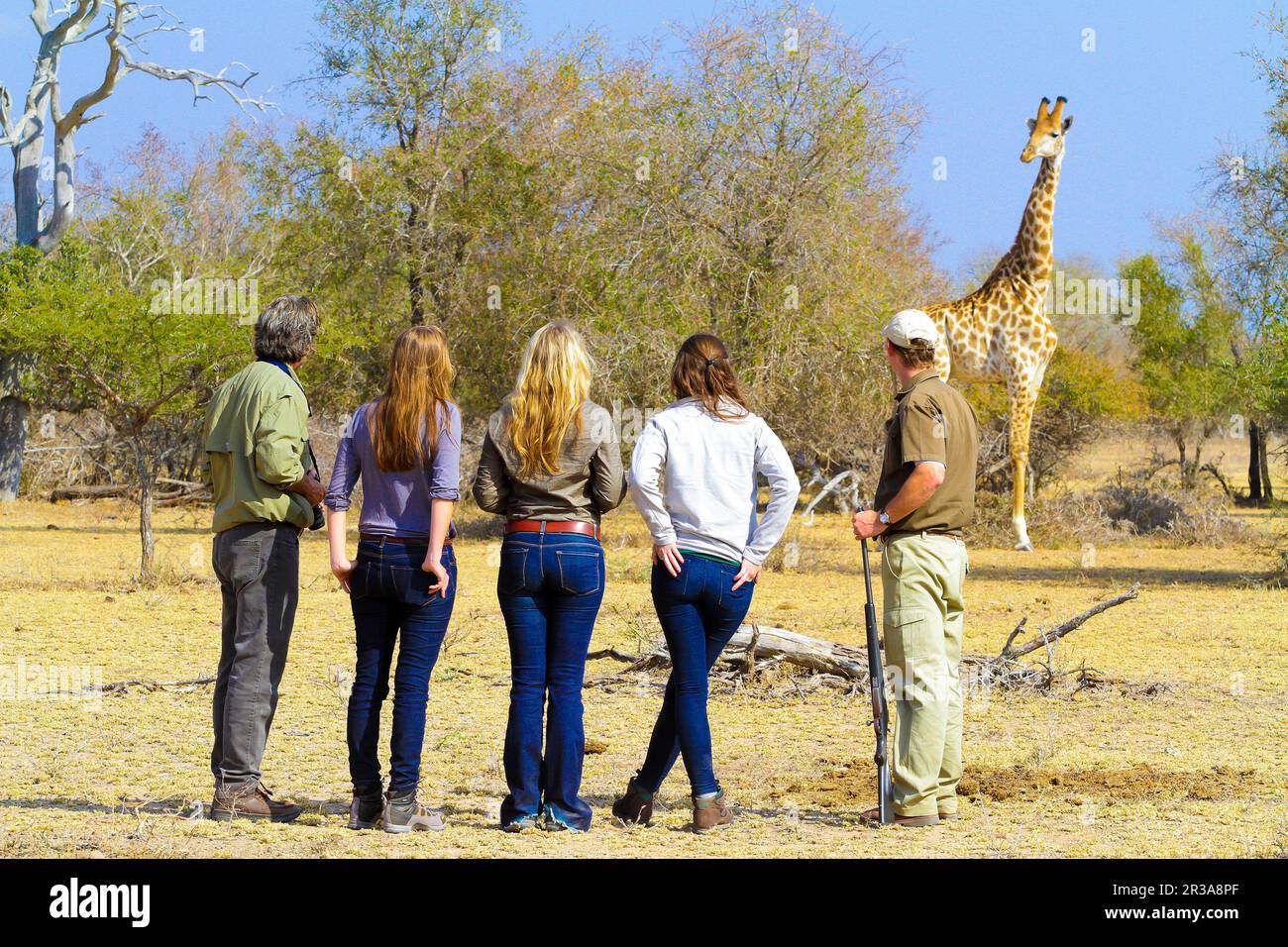 Africa safari tourists family hi-res stock photography and images - Alamy