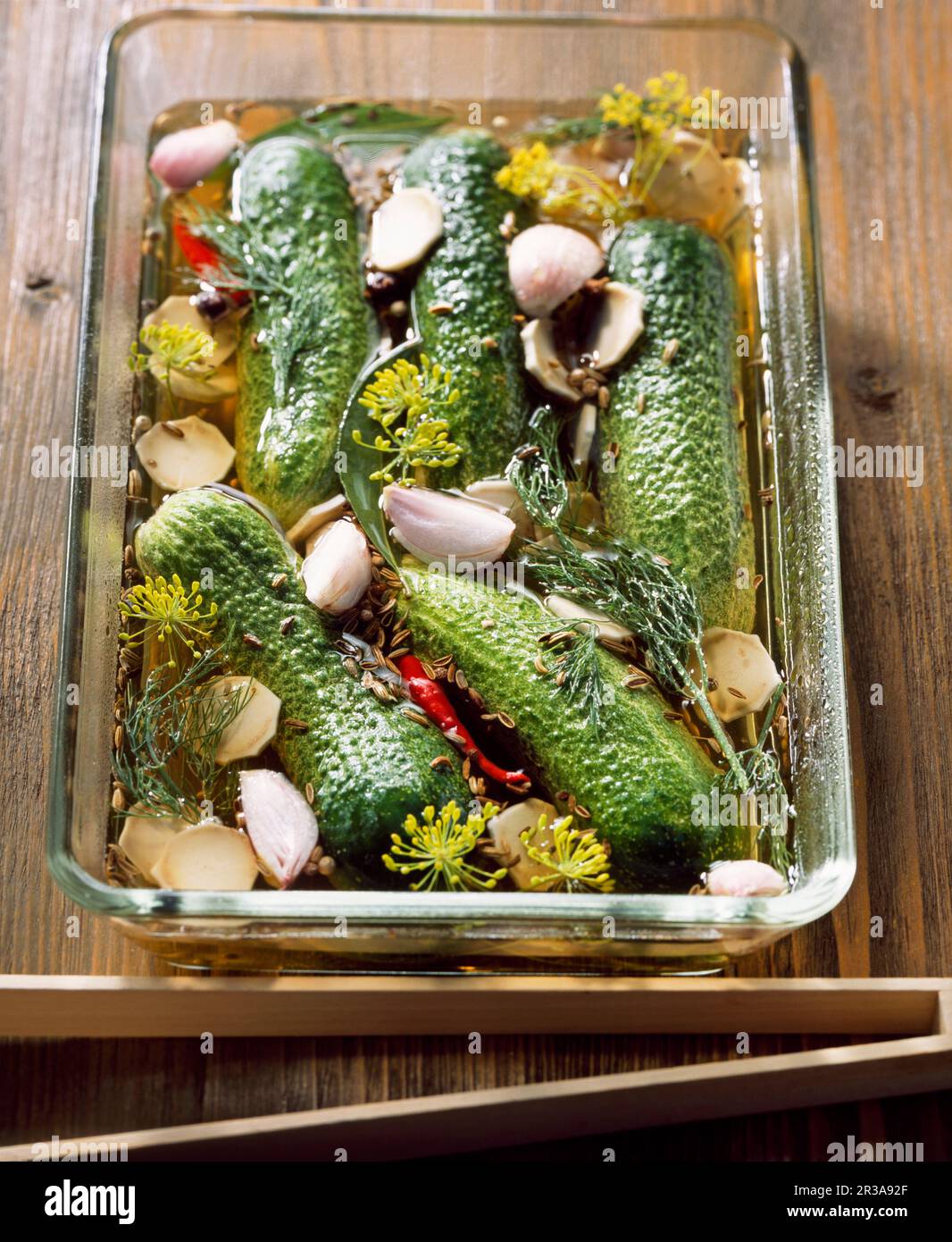 Spicy gherkins with horseradish, chilli, dill flowers and vinegar Stock