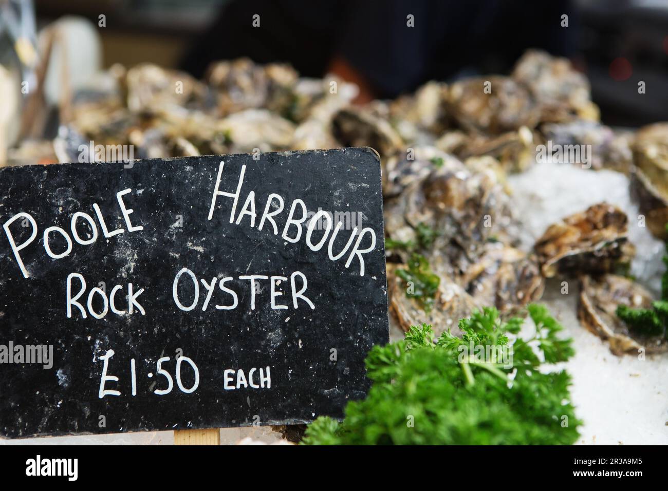 Poole harbour rock oyster with a price label on fish market Stock Photo