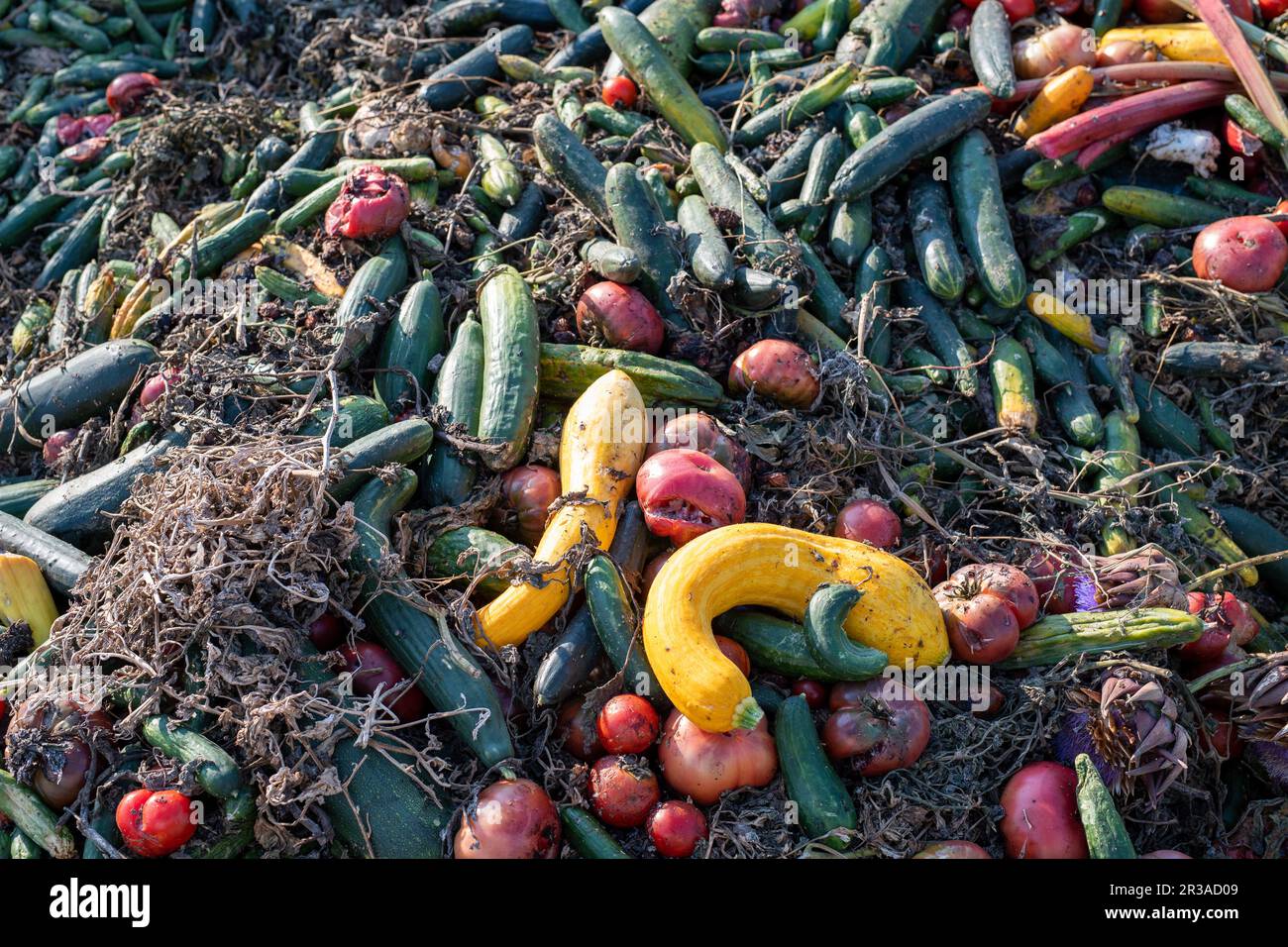 Pile fresh vegetables greens hi-res stock photography and images - Alamy