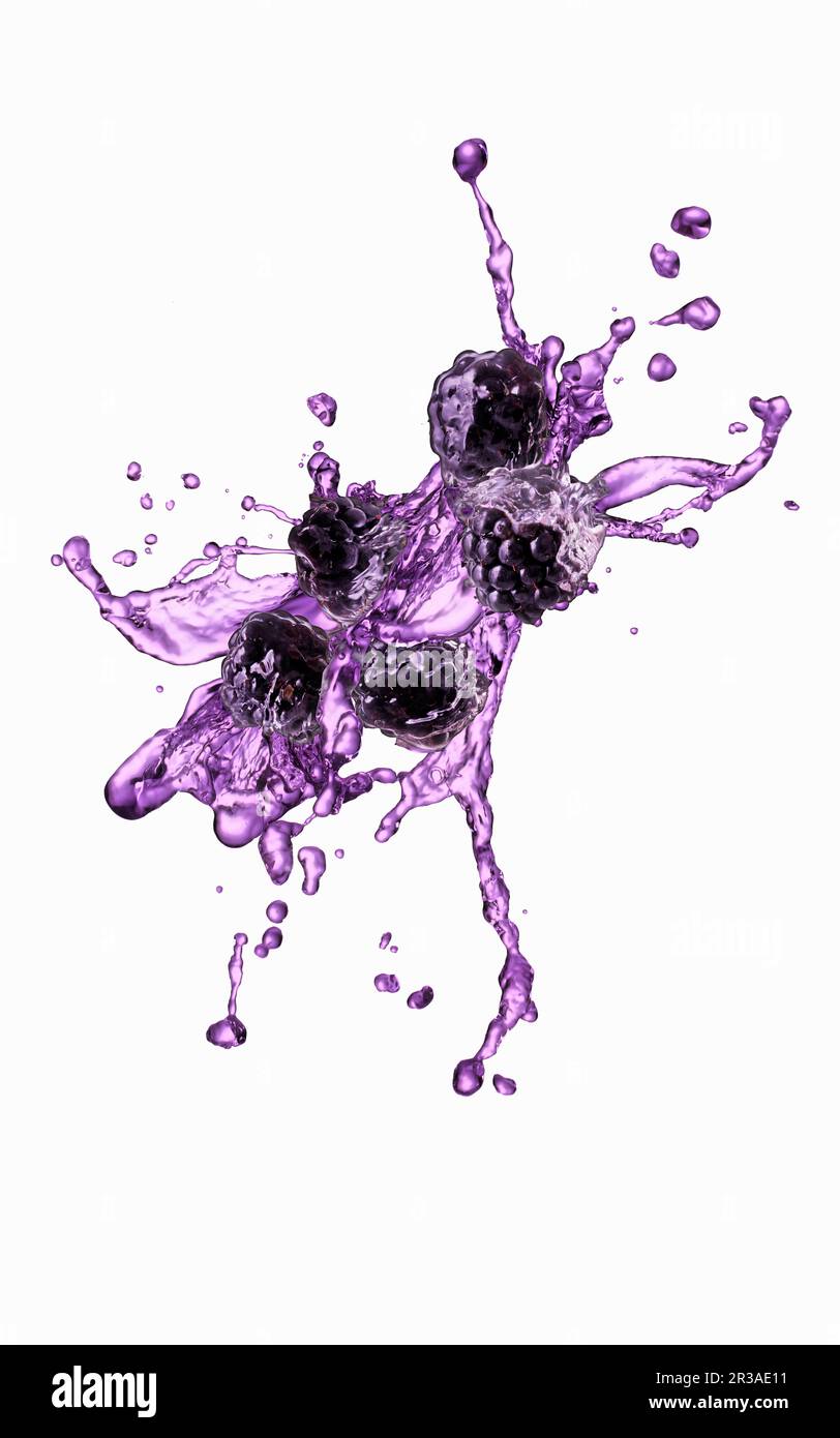 Violet blackberry splash Stock Photo