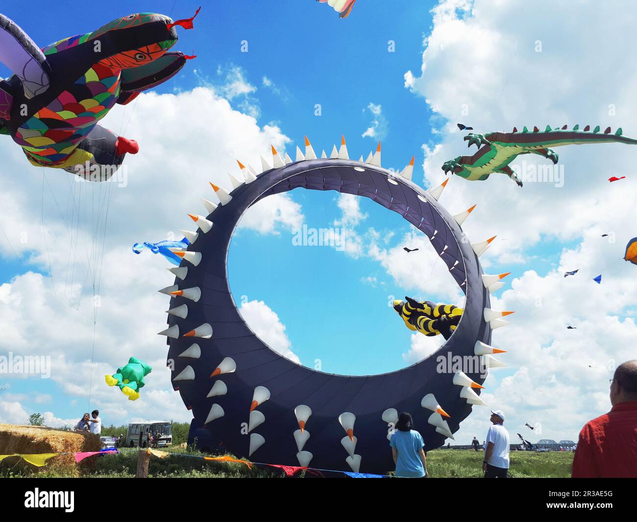 International Kite Festival Stock Photo Alamy