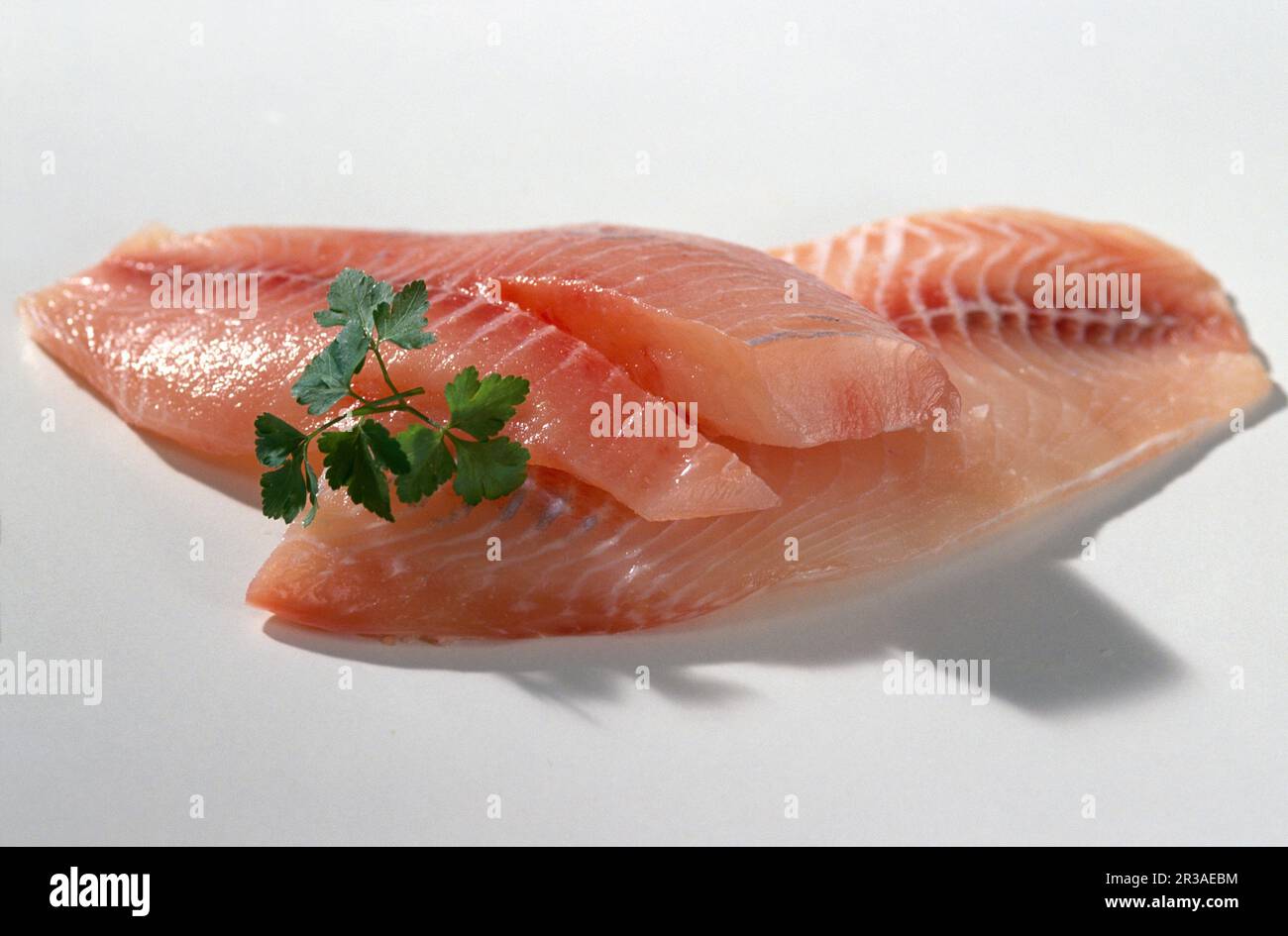 Tilapia fillets, Uganda Stock Photo - Alamy