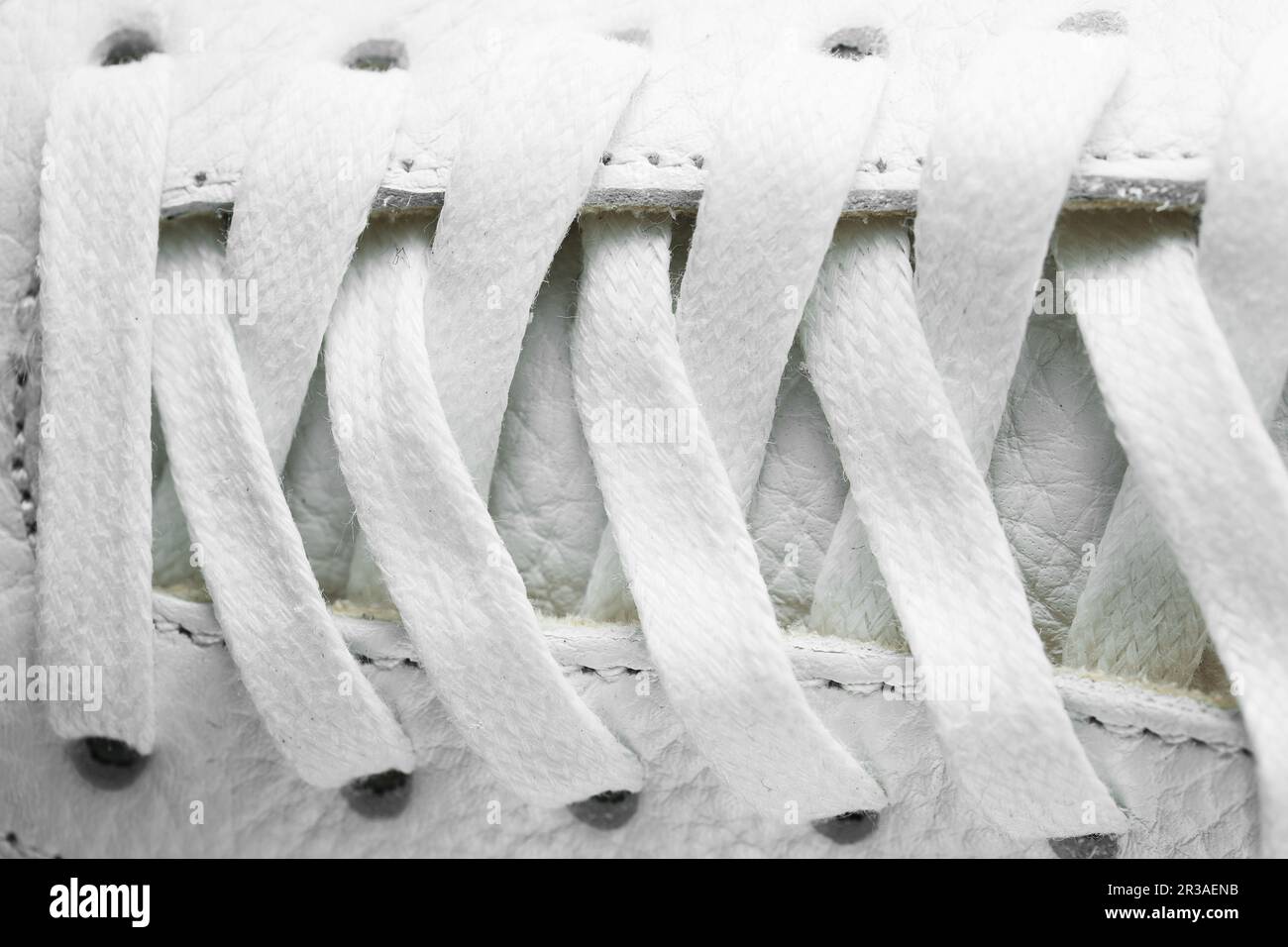 Image showcasing Ti-Based Flexible Nanowire-Textured Surface Increases the Friction ...