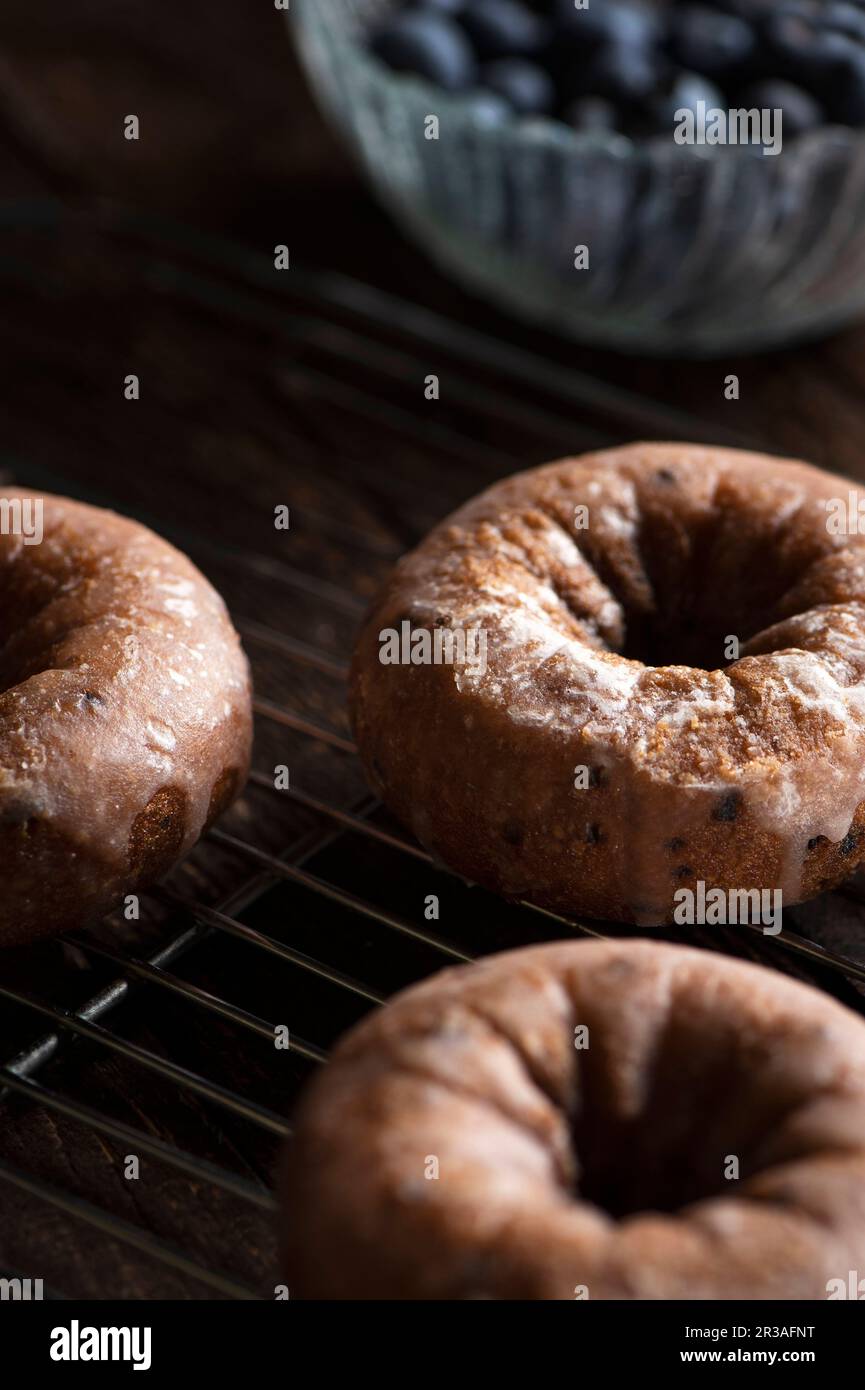 Blueberry donuts on a wire rack Stock Photo - Alamy