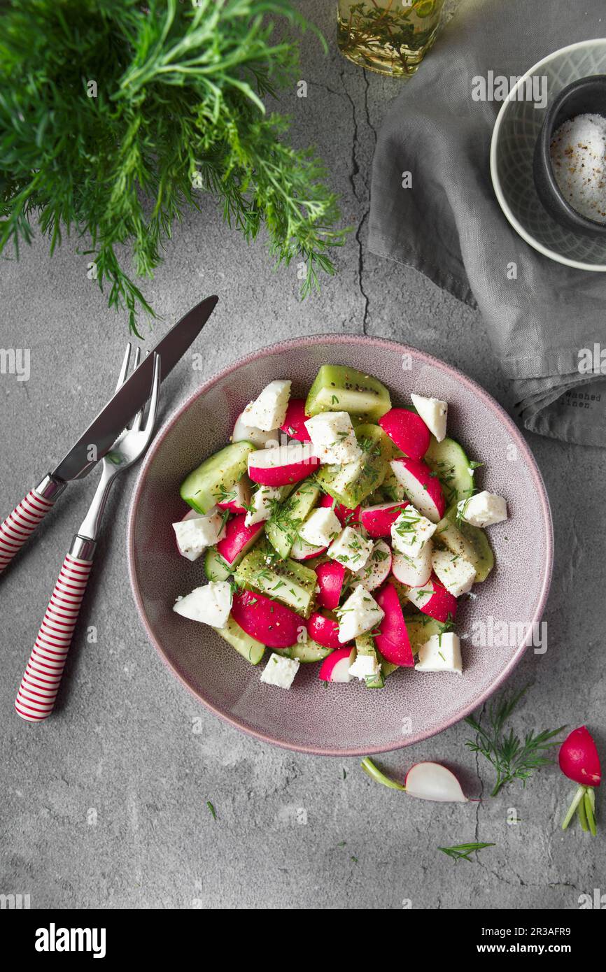 Radish, cucumber, kiwi, cheese and dill salad in a bowl on gray grunge concrete background. Seasonal Stock Photo
