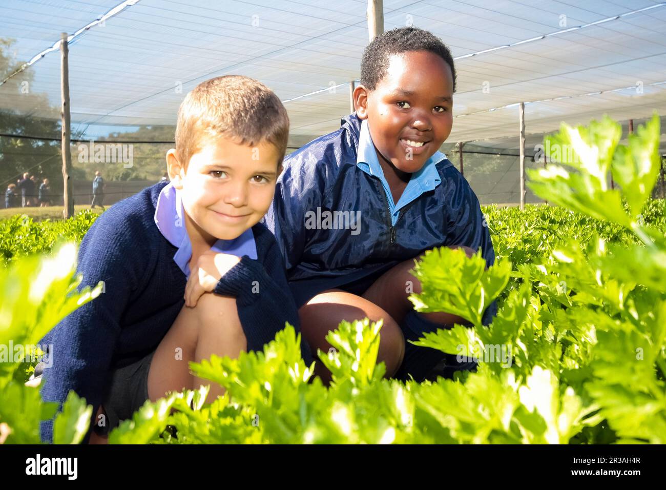 School children learning about agriculture and farming Stock Photo