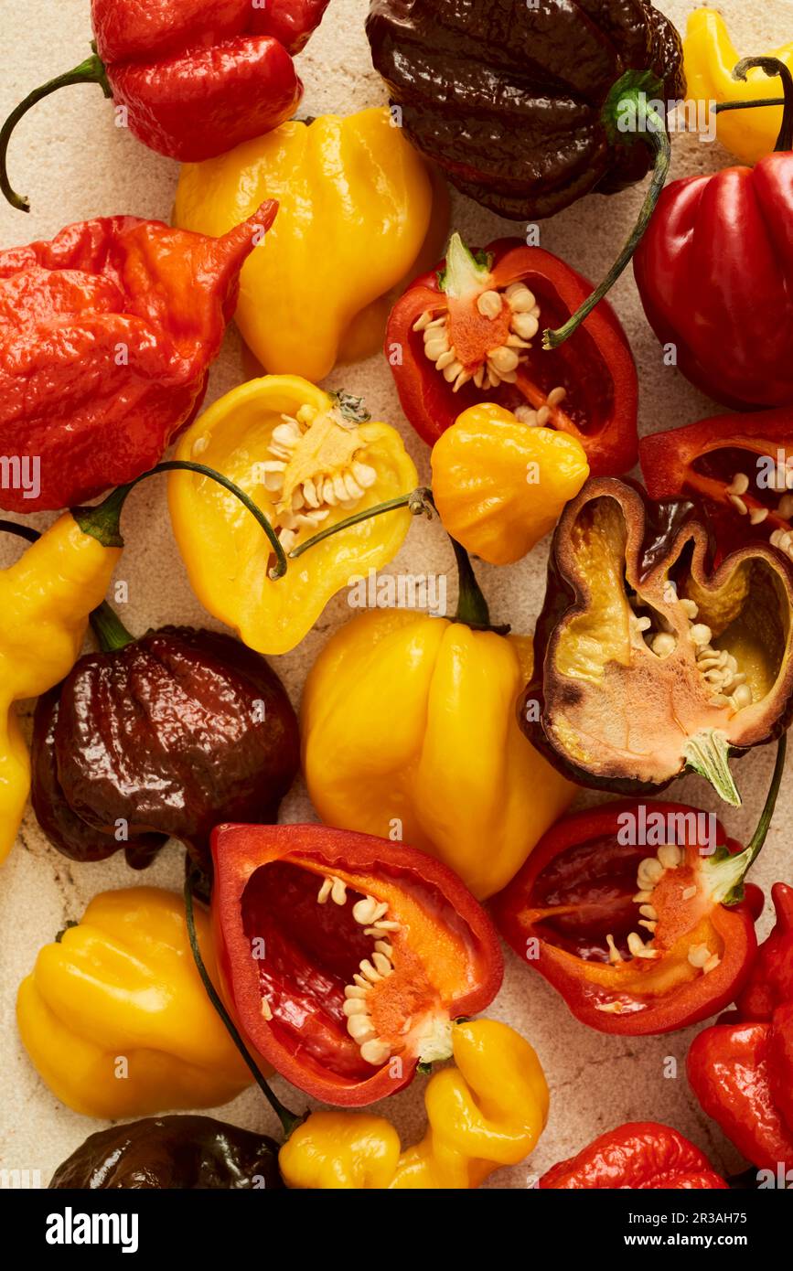 A colourful mix of the hottest chilli peppers in the market Stock Photo