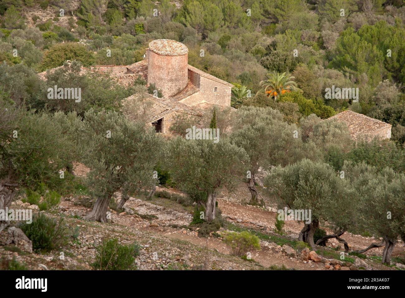 SPAIN Balearic Islands, Mallorca. Camino de Balitx. Fornalutx. Stock Photo