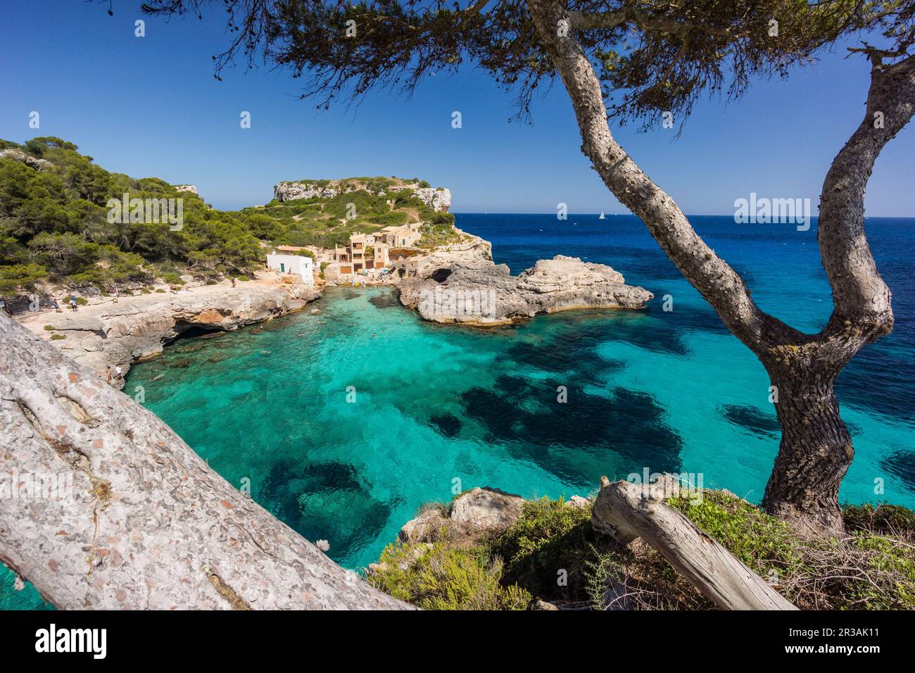 Cala s'Almunia, Santanyi, Mallorca, balearic islands, spain, europe. Stock Photo