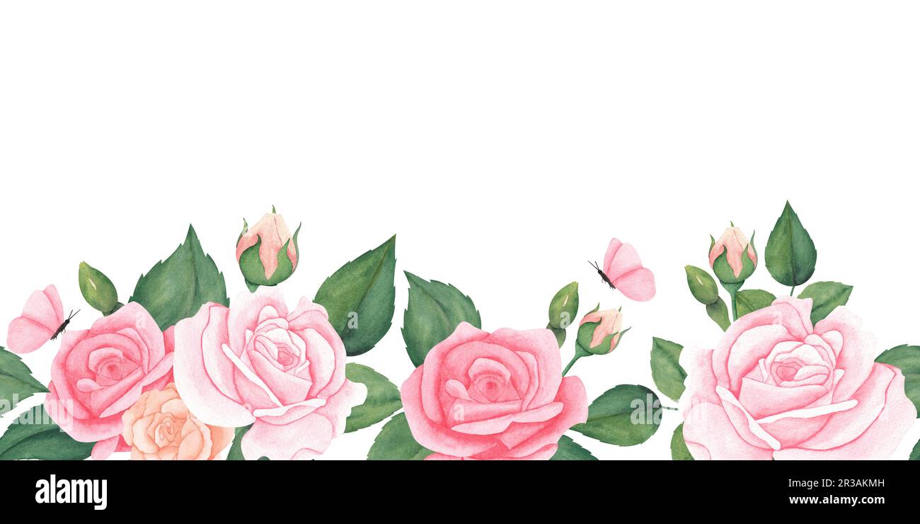 watercolor pink peach roses with leaves and butterfly. Border, banner ...