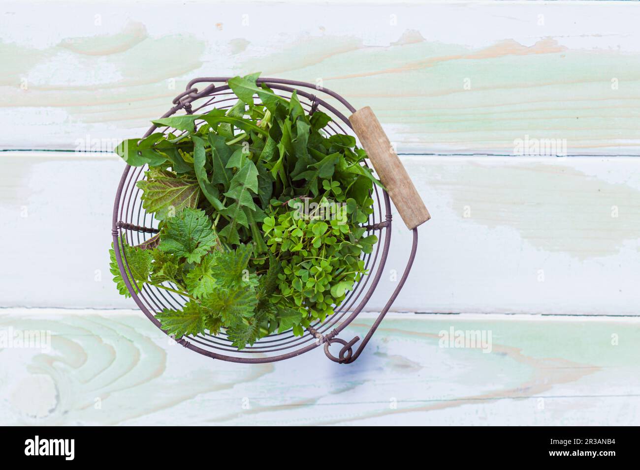 Wild green herbs for the manufacture of natural remedies Stock Photo