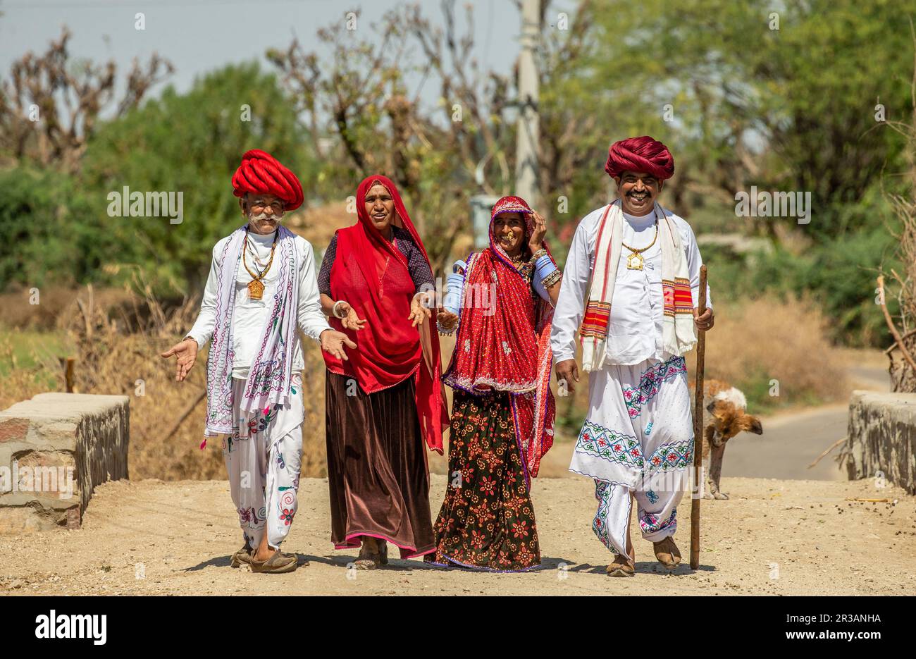 Men and women of the Rabari ethnic group in national dress are walking along the road. Stock Photo
