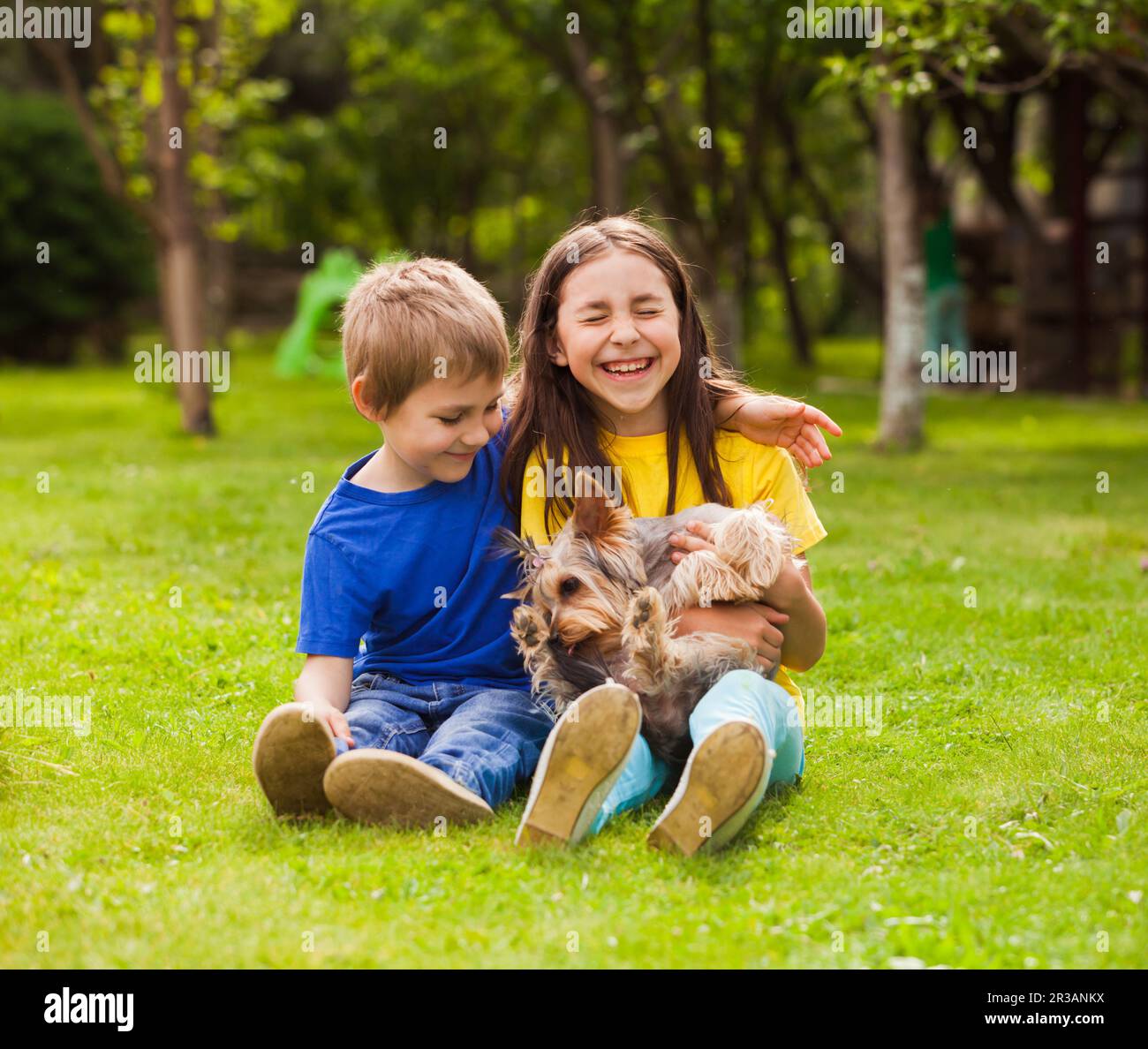 Children play with a little dog in the backyard Stock Photo