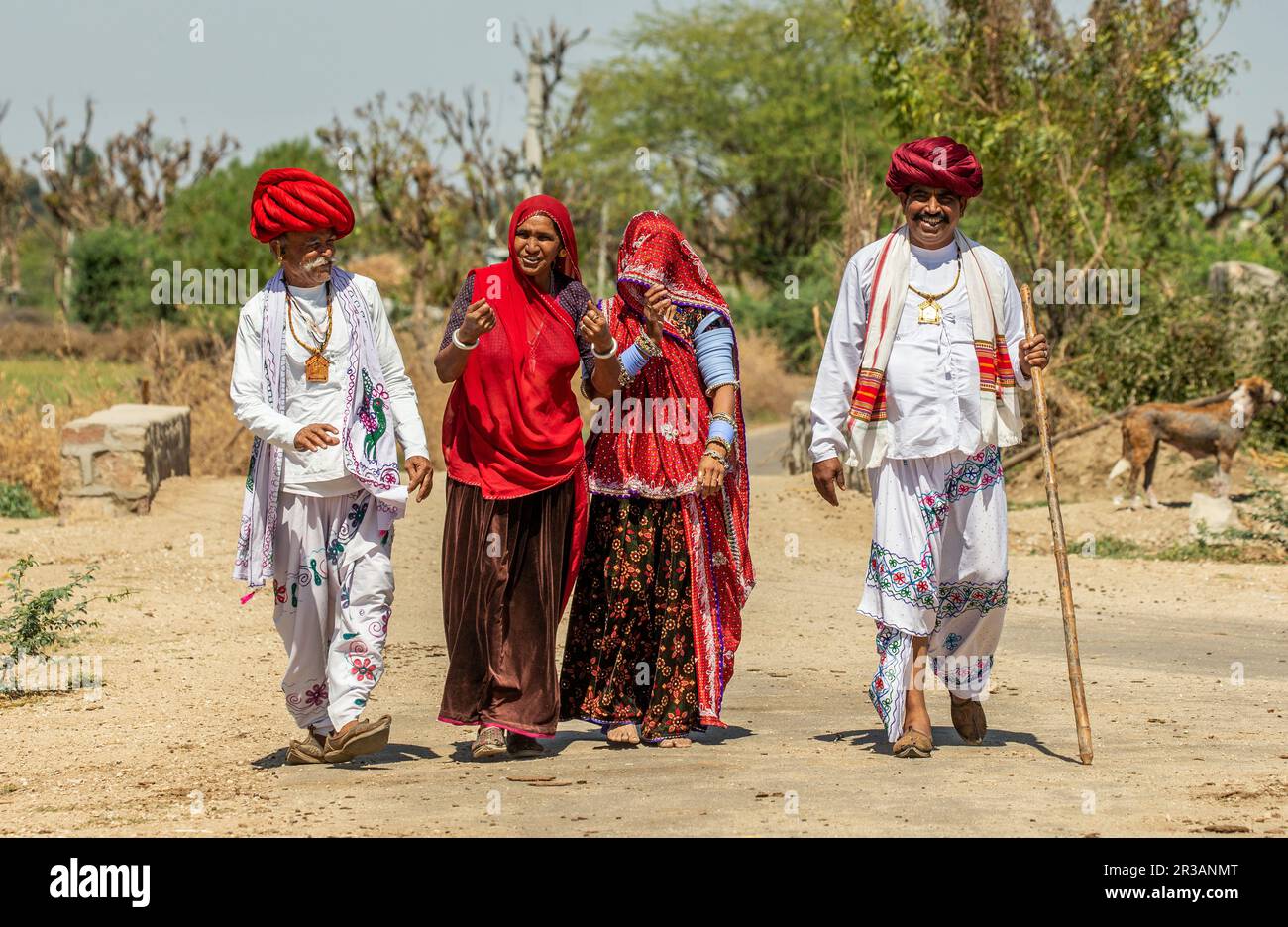 Men and women of the Rabari ethnic group in national dress are walking along the road. Stock Photo