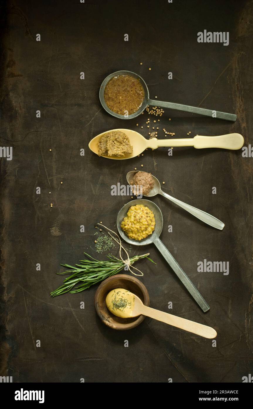 Different types of mustard on spoons, thyme, rosemary Stock Photo Alamy
