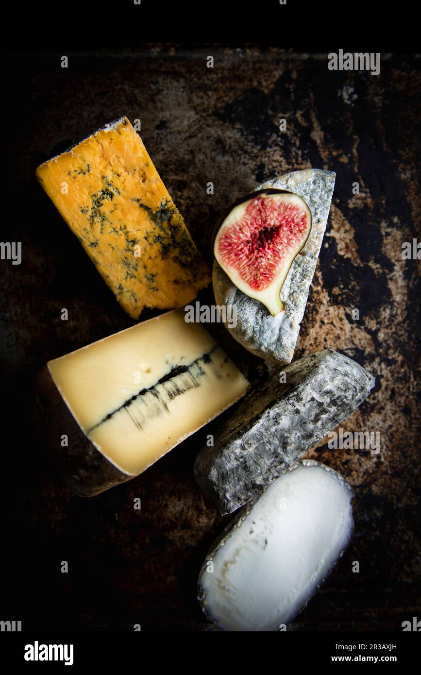 Cheese Selection with Fig Stock Photo