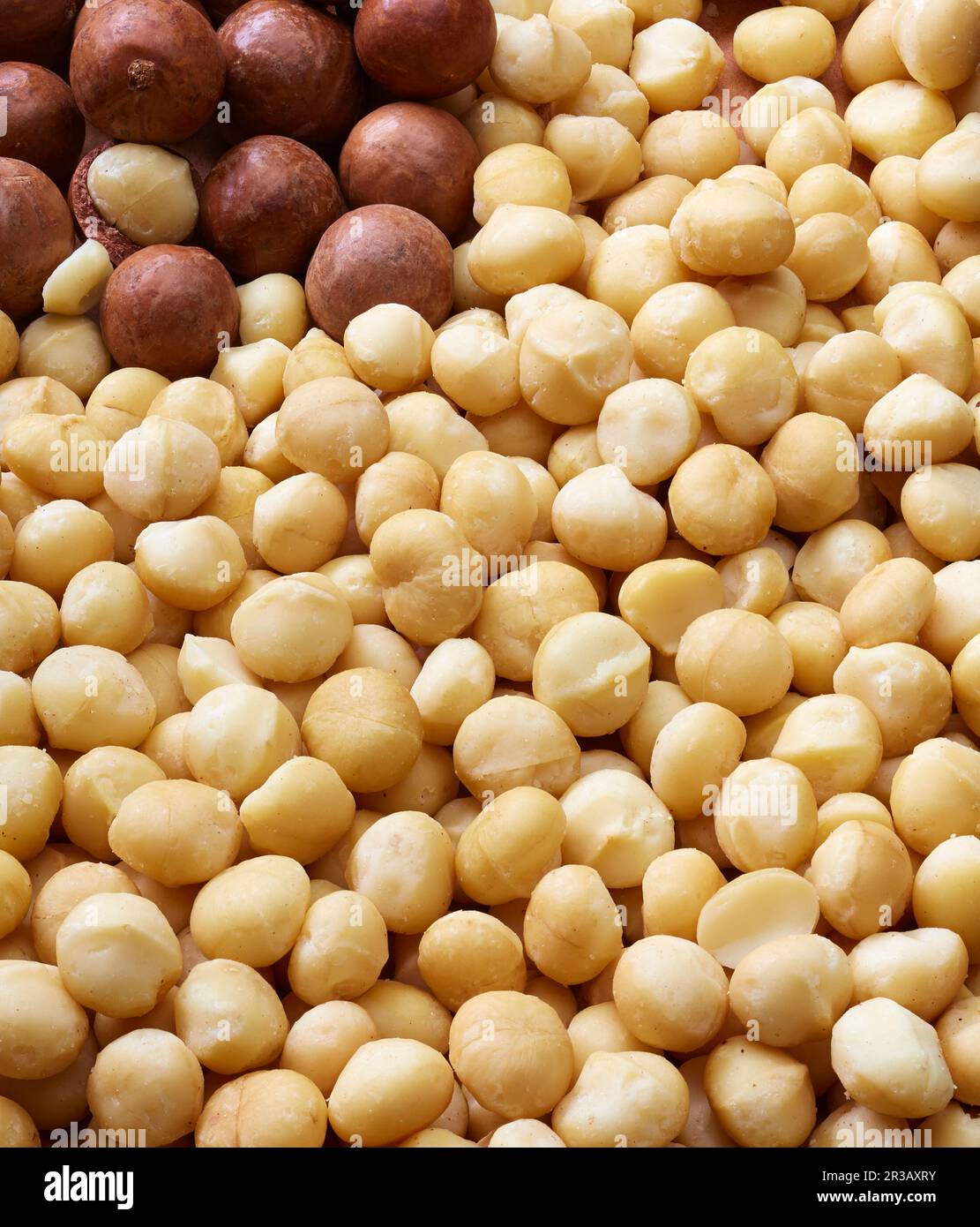 Macadamia nuts with and without shells (filling the picture Stock Photo