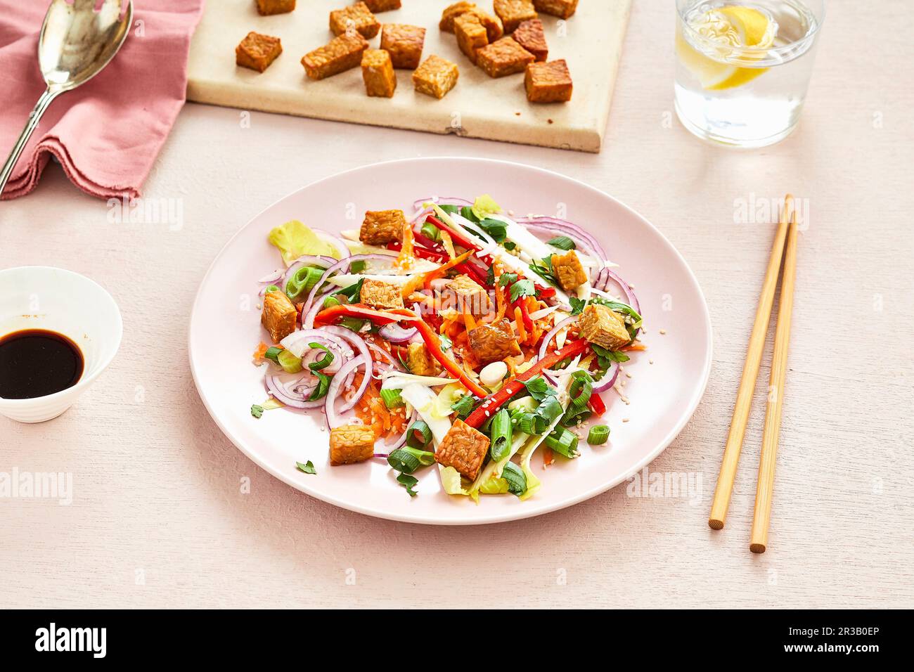 Asian roasted tempeh salad with red onion, coriander, red pepper