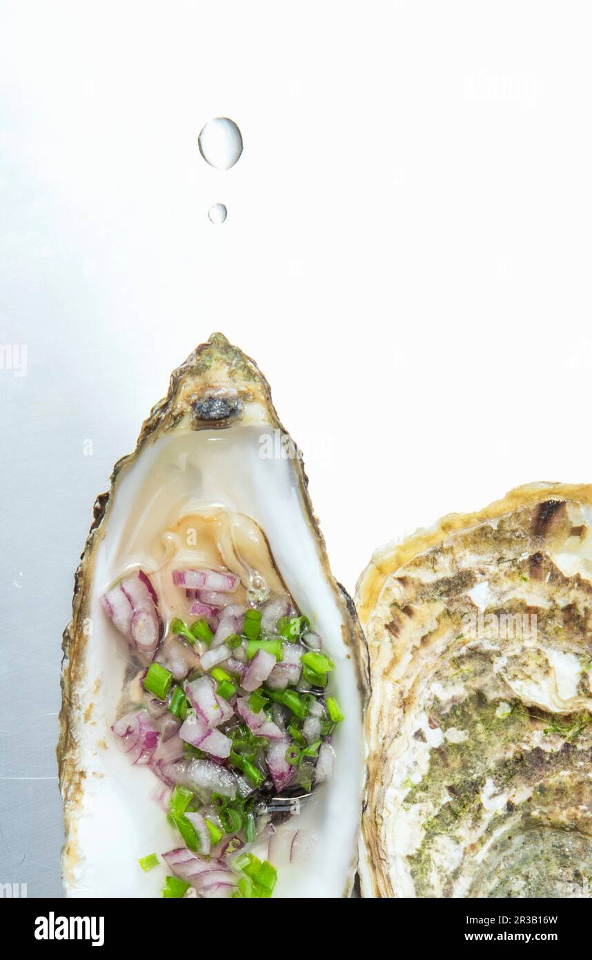 An open oyster with chives and onions Stock Photo