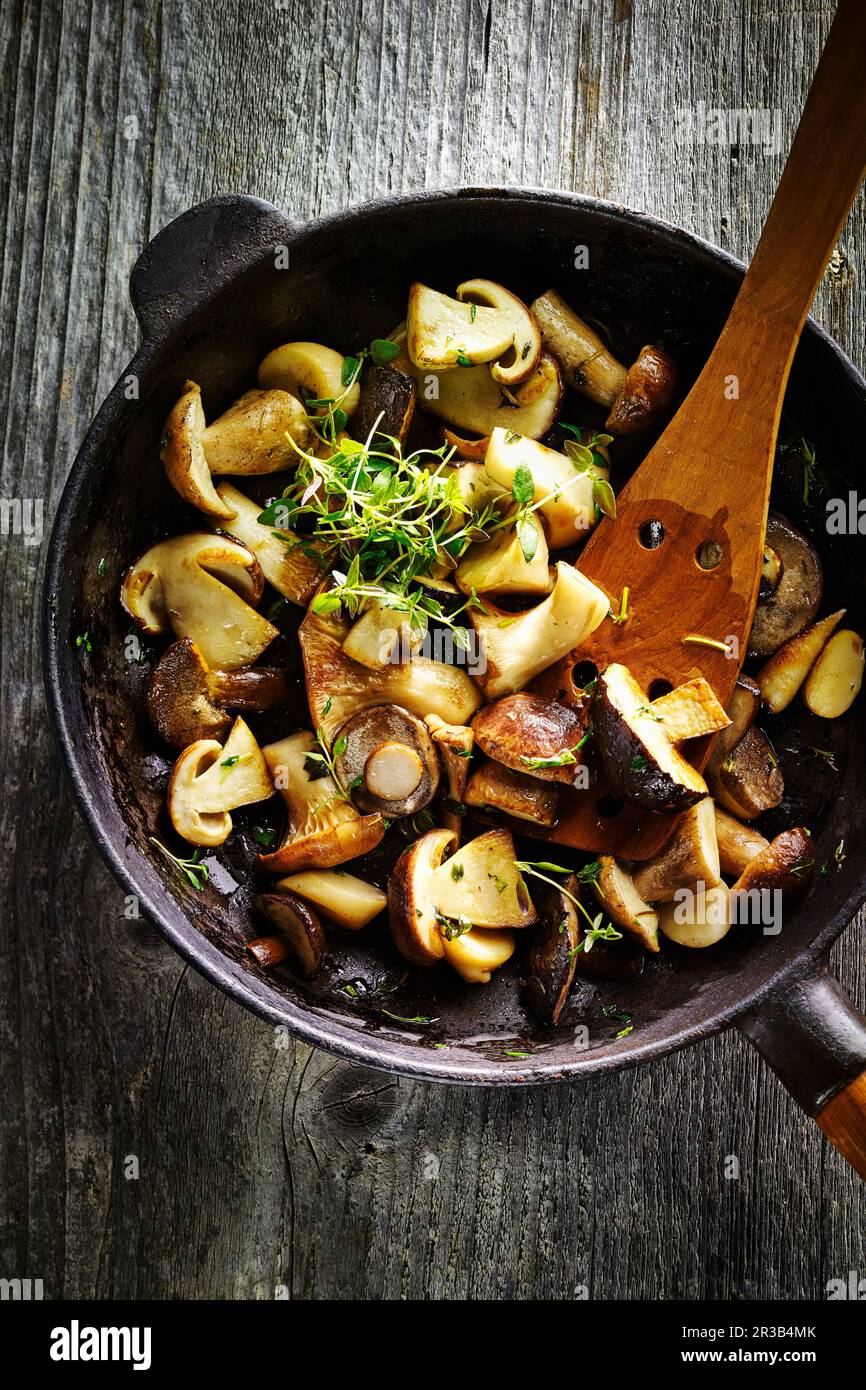 Fried mushrooms with cress Stock Photo