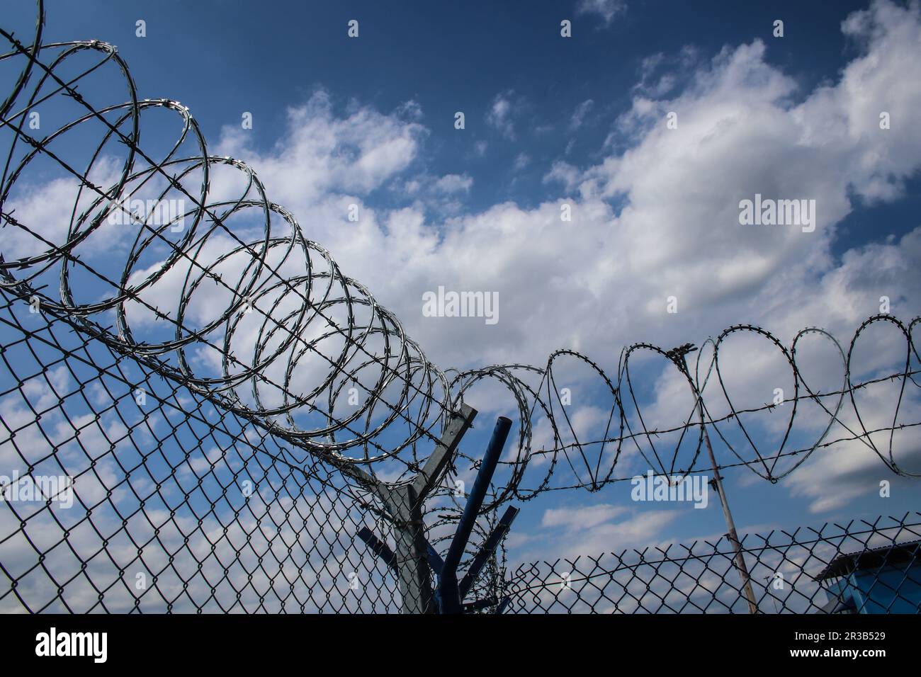 Plastic wire mesh fence hi-res stock photography and images - Alamy