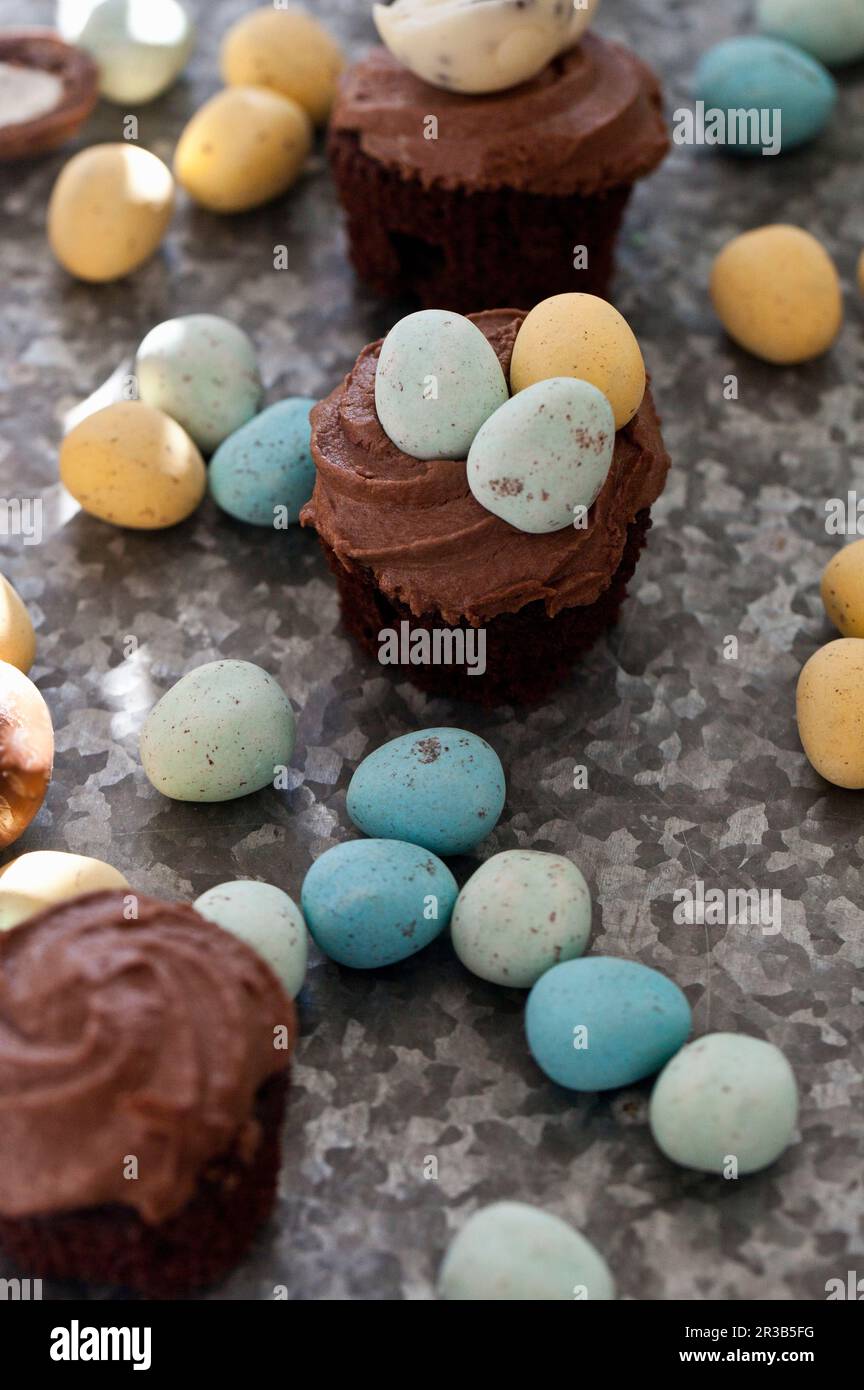 Chocolate cupcakes with mini chocolate eggs on a textured surface Stock Photo