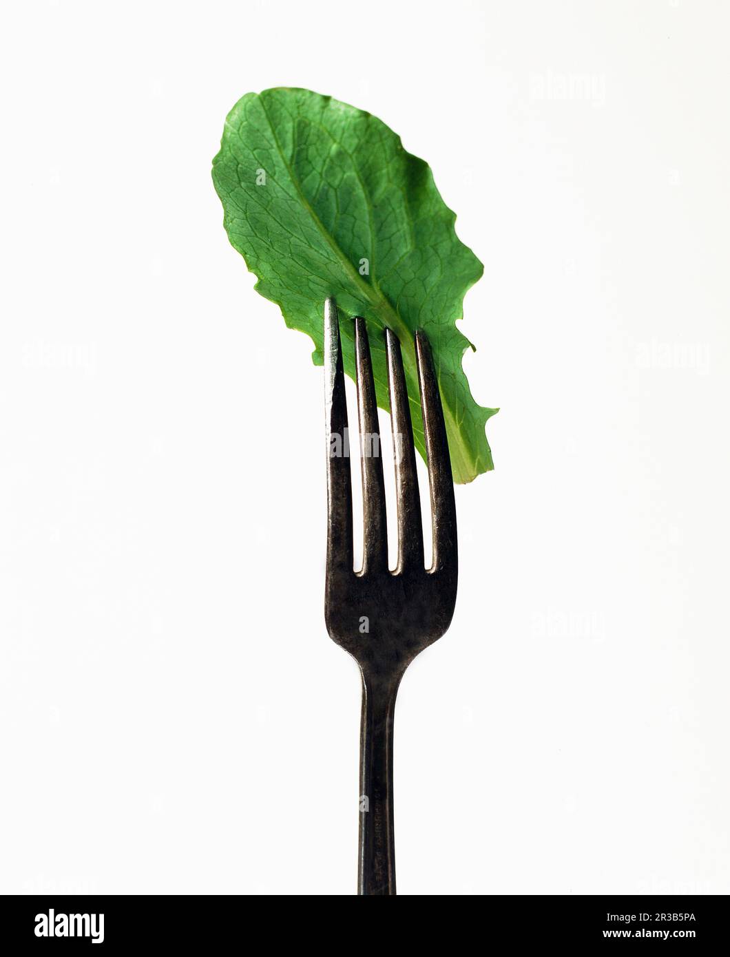 Lettuce leaf on a fork Stock Photo