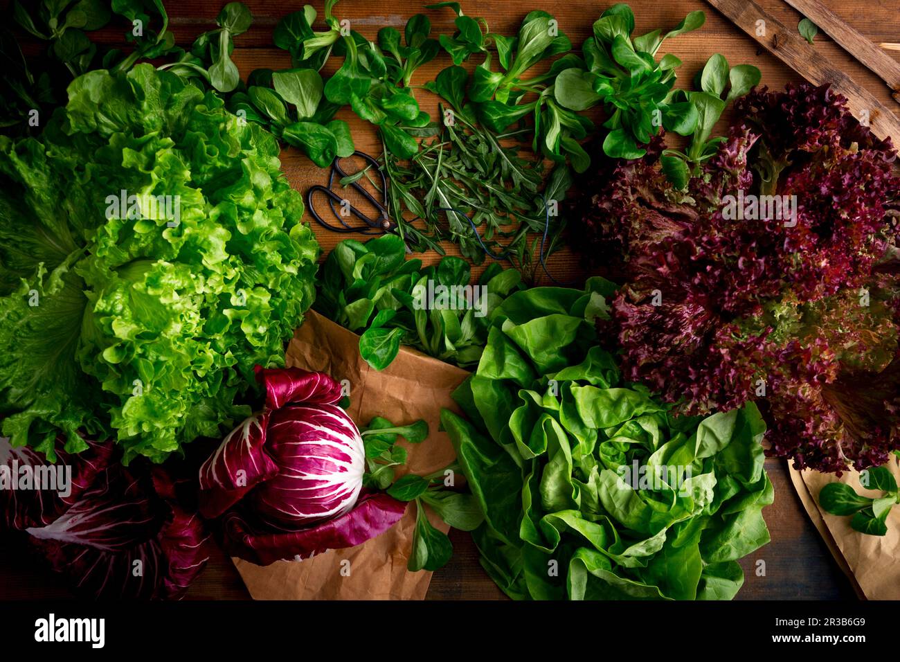 Cabbage salat hi-res stock photography and images - Alamy