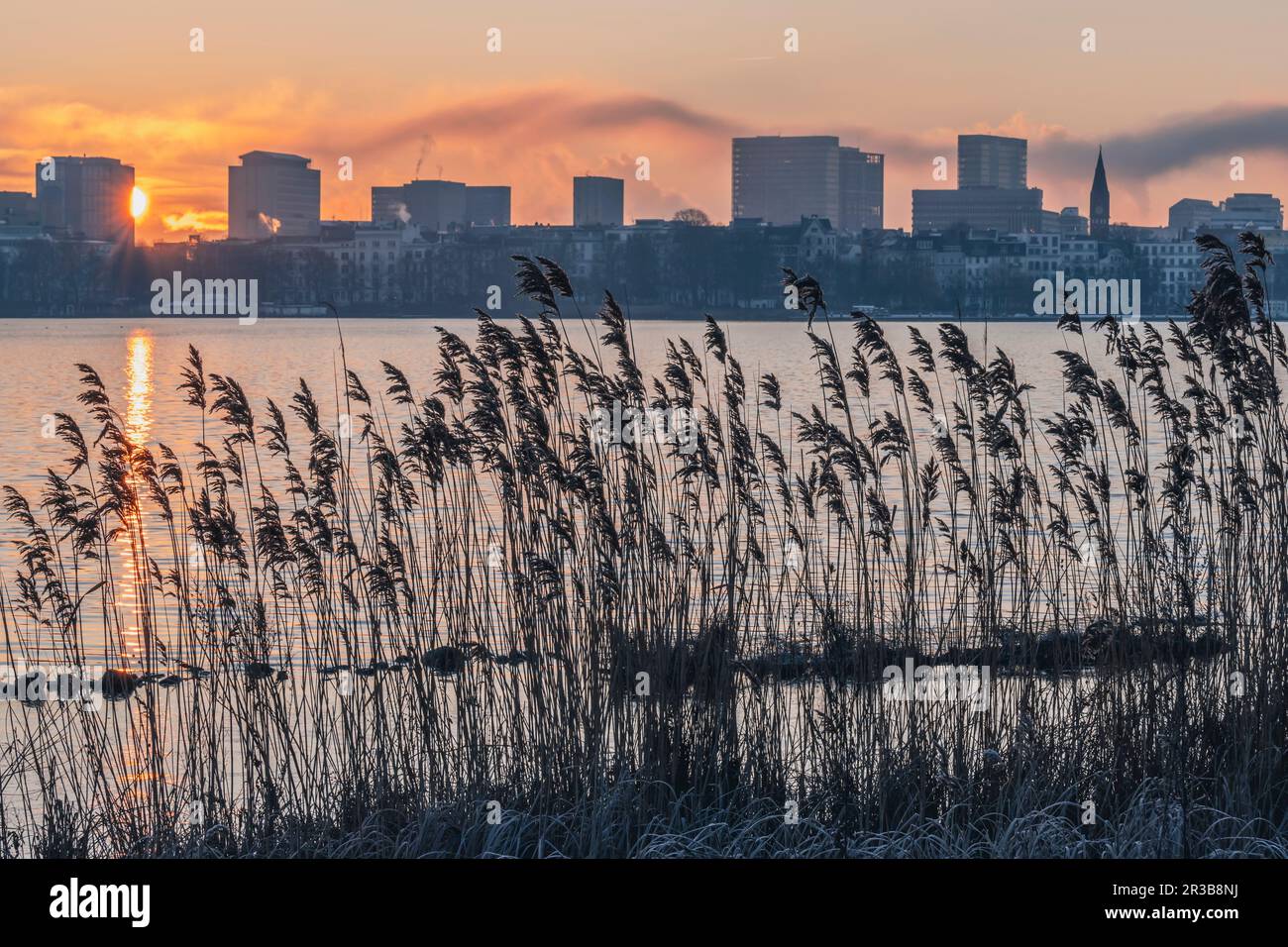 Alster shore in hamburg hi-res stock photography and images - Alamy