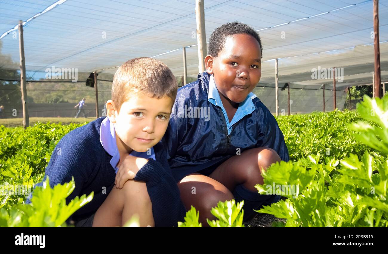 School children learning about agriculture and farming Stock Photo