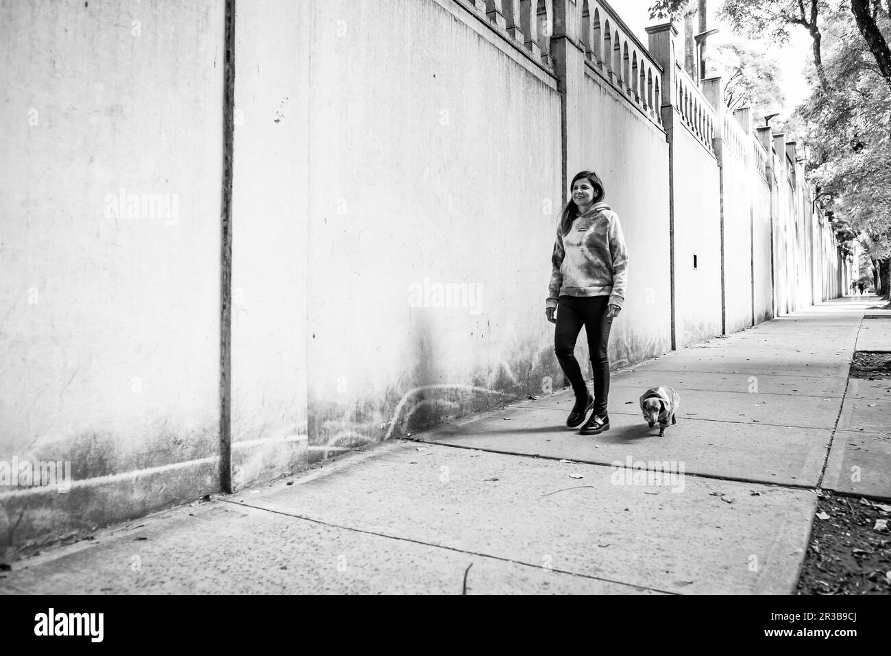 Latin woman walking her dog, both dressed alike. Grey background. Copy space Stock Photo