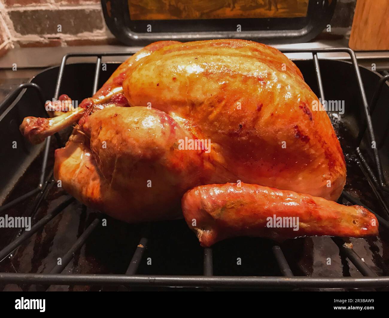 Turkey in roasting pan Stock Photo Alamy