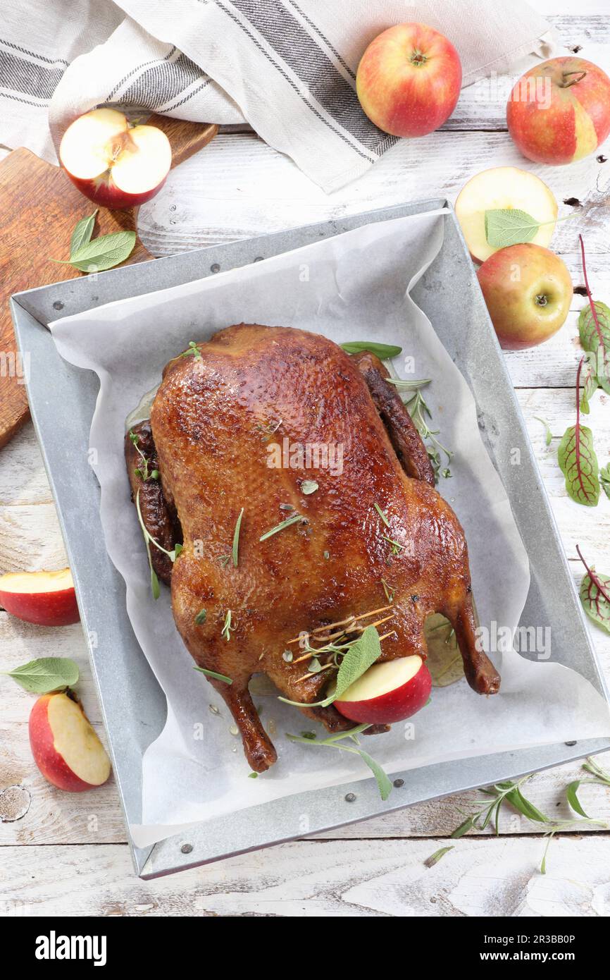 Roasted duck with apples Stock Photo Alamy