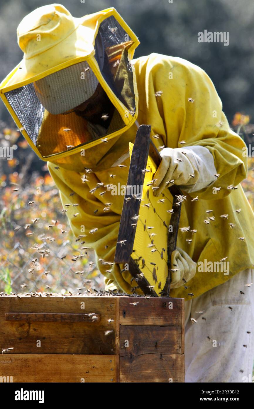 Keeper quarter hi-res stock photography and images - Alamy