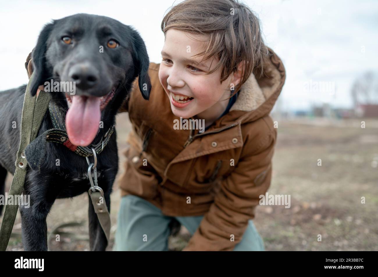 Happy boy kneeling near Labrador Stock Photo