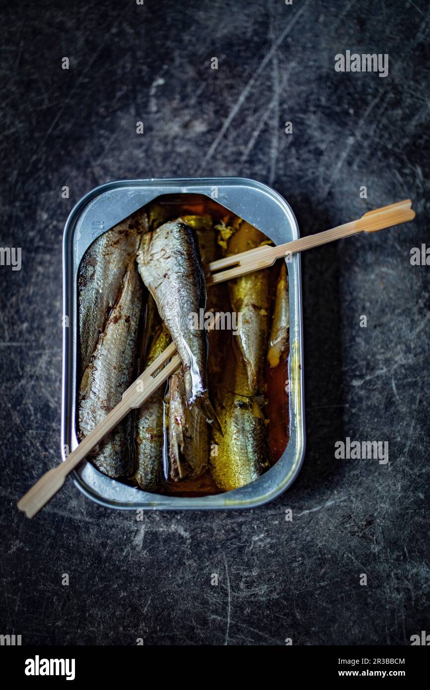 Sardines in a tin with wooden forks Stock Photo Alamy