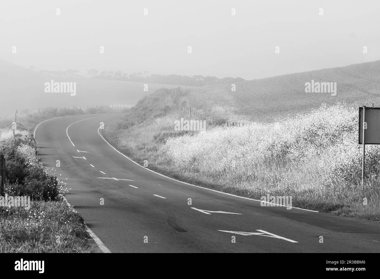 Town road markings Black and White Stock Photos & Images - Alamy