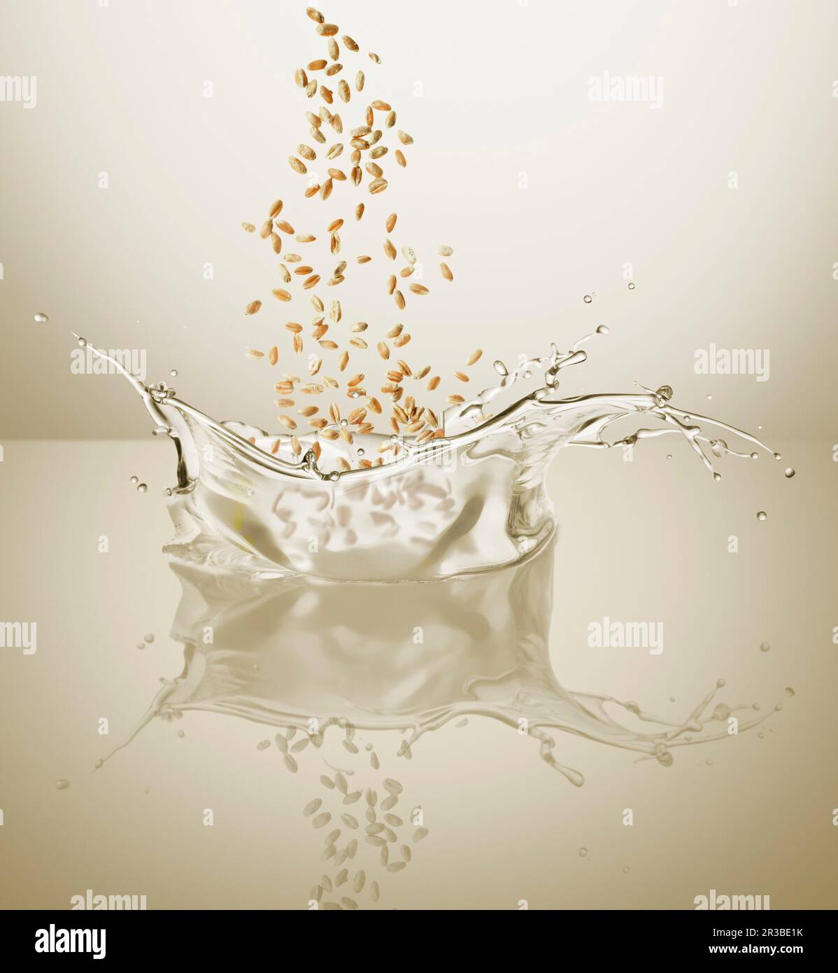 A splash of wheat germ oil Stock Photo