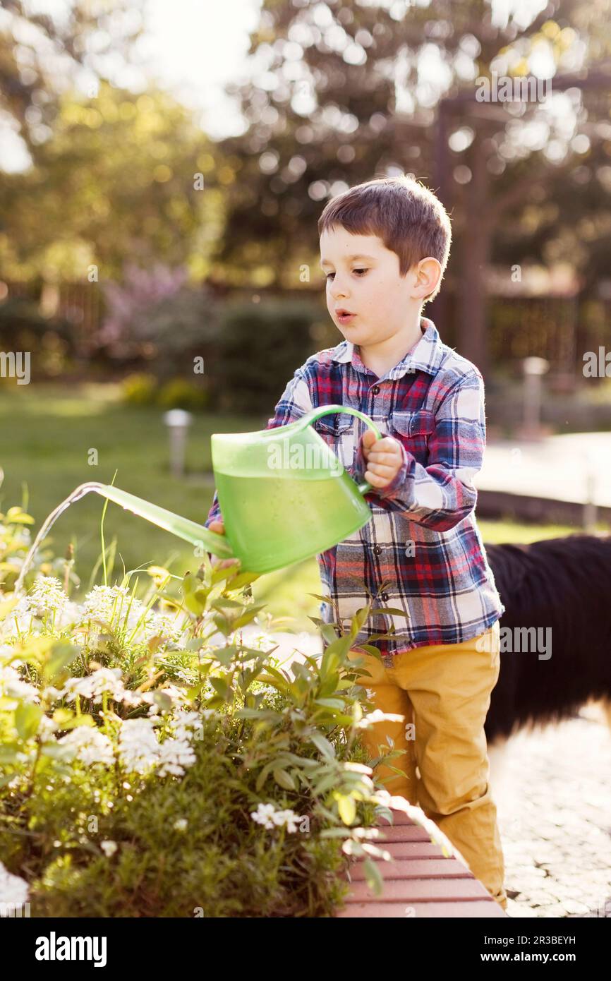 Boy watering plants at back yard Stock Photo - Alamy
