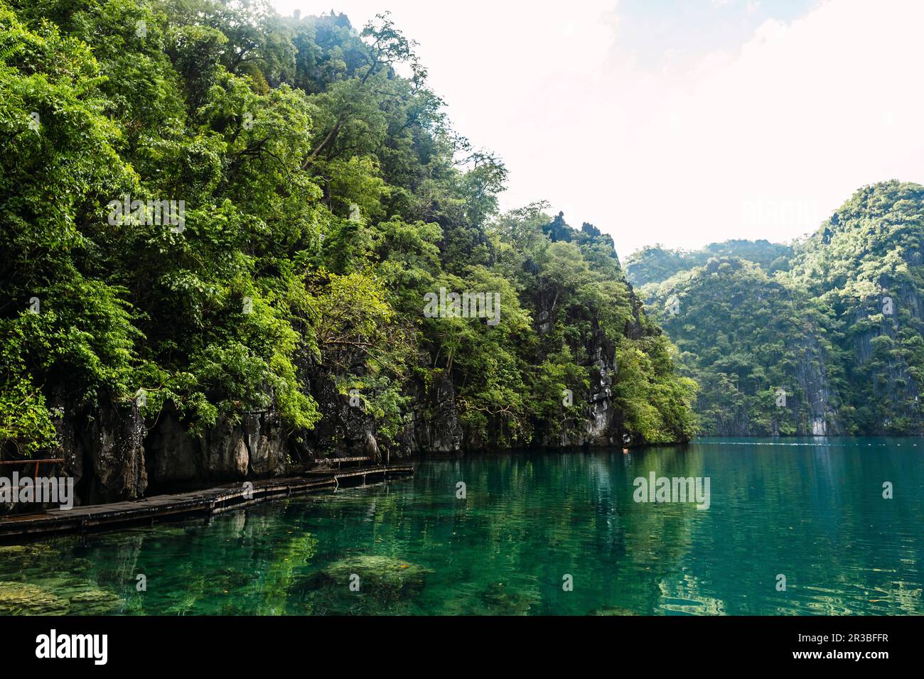 Sea with lush trees at Coron Island in Philippines Stock Photo