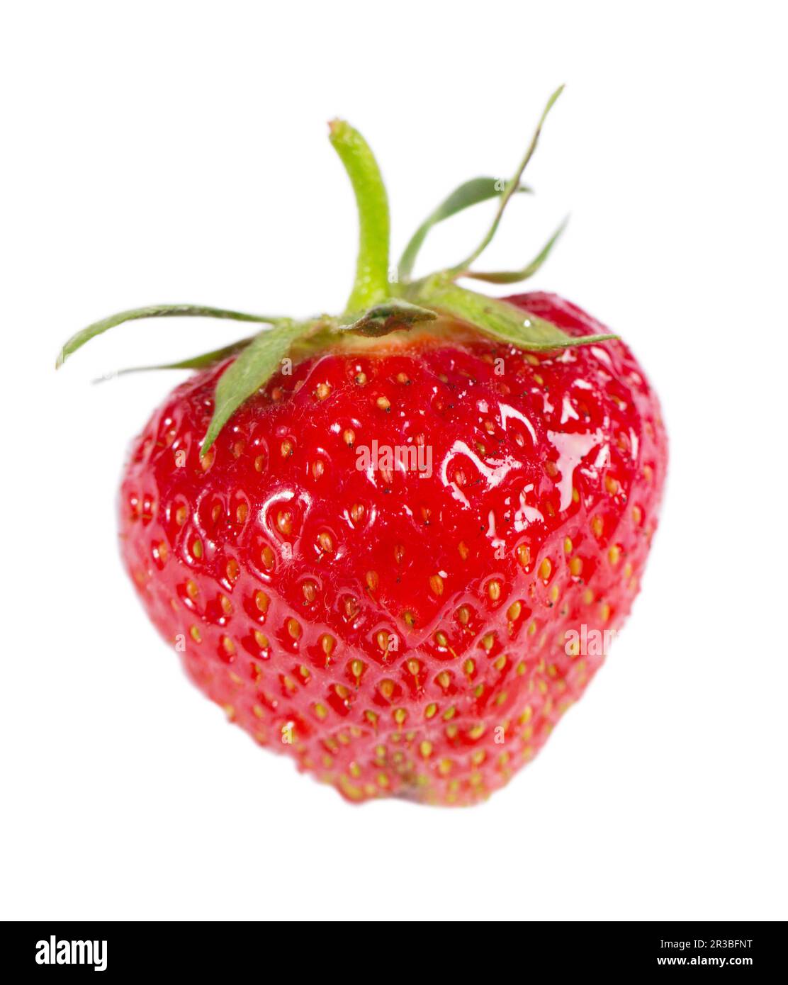 Juicy ripe large strawberry isolated on white background Stock Photo ...